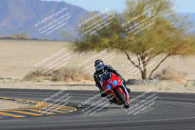 media/Feb-04-2023-SoCal Trackdays (Sat) [[8a776bf2c3]]/Turn 4 (Tree of Life 2pm)/